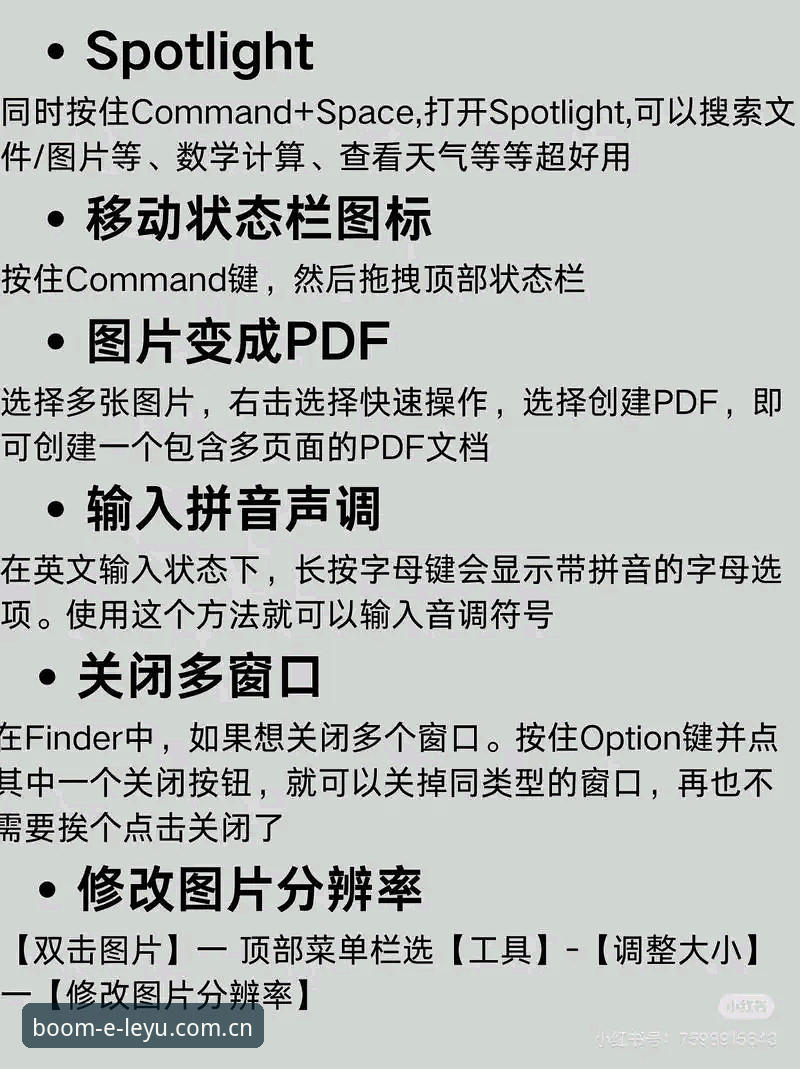 海外华人使用LEYU电脑版教程 深度揭秘:海外华人玩转LEYU电脑版的三个隐藏技巧
